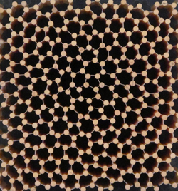 A top view photograph of a hyperuniform disordered photonic bandgap structure consisting of alumina rods and a wall network.